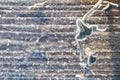 Green leaf covered with snow. Top down view. Selective focus, Winter season concept Royalty Free Stock Photo