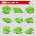 Green leaf 3d relaistic icons eco environment or bio ecology vector symbols Royalty Free Stock Photo