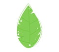 Green leaf with dew drops and a tear, simple flat design. Fresh spring leaf, eco concept vector illustration Royalty Free Stock Photo