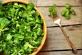 Green leaf diet concept with fresh valerian salad Royalty Free Stock Photo