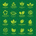 Green leaf eco design friendly nature elegance symbol and natural element ecology organic vector illustration.