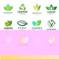 Green leaf eco design friendly nature elegance symbol and natural element ecology organic vector illustration.