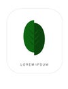 Green Leaf Eco Logo. Company identity concept vector illustration. Royalty Free Stock Photo