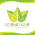 Green Leaf Eco Nature Vegan Logo for Ecology company or Health food Shop