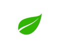 green leaf ecology nature element vector icon Royalty Free Stock Photo