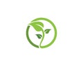 Green leaf ecology nature element vector icon Royalty Free Stock Photo
