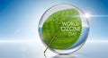 Celebrating world ozone day with green leaf in glass sphere Royalty Free Stock Photo