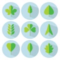 Green leaf flat icon set. Vector collection. Tree leaves. Eco lo Royalty Free Stock Photo