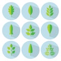 Green leaf flat icon set. Vector collection. Tree leaves. Eco lo Royalty Free Stock Photo