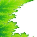 Green leaf fractal background Royalty Free Stock Photo