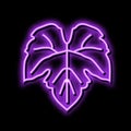 green leaf grape neon glow icon illustration