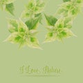 Green leaf on green background,love nature concept Royalty Free Stock Photo