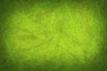 Green Leaf Grunge Nature Background Royalty Free Stock Photo