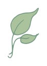 Green leaf hand drawn icon. Color vector isolated Royalty Free Stock Photo