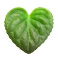 Green leaf heart shape.