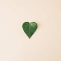 green leaf heart shaped on pastel background. Love concept. Minimal natural concept. flat lay