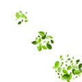 Green Leaf Herbal Vector Wallpaper. Nature Leaves