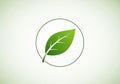 A green leaf icon is centered within a minimalist design, outlined Royalty Free Stock Photo