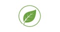 Green leaf icon inside a circular border on a white background. The leaf has a detailed vein Royalty Free Stock Photo