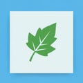 Leaf is stylized with pointed edges and a visible vein structure Royalty Free Stock Photo