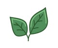 Green leaf icon. Line colored vector illustration. Isolated on white background Royalty Free Stock Photo