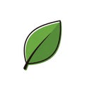 Green leaf icon on a white background featuring a simple, stylized design Royalty Free Stock Photo