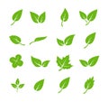 Green leaf icons set. Elements design for natural, eco, vegan. Leaves icon on isolated background. Collection green leaf Royalty Free Stock Photo