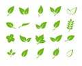 Green leaf icons set. Elements design for natural, eco, vegan. Leaves icon on isolated background. Collection green leaf Royalty Free Stock Photo