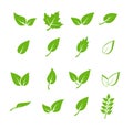 Green leaf icons set. Elements design for natural, eco, vegan. Leaves icon on isolated background. Collection green leaf Royalty Free Stock Photo