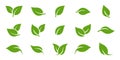 Green leaf icons set. Leaves icon on isolated background. Collection green leaf. Elements design for natural, eco, vegan, bio Royalty Free Stock Photo