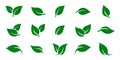 Green leaf icons set. Leaves icon on isolated background. Collection green leaf. Elements design for natural, eco, vegan, bio Royalty Free Stock Photo