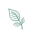 Green leaf illustration. plant brancch