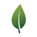 Green leaf illustration with a simple and modern design. The leaf features a gradient Royalty Free Stock Photo