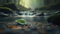 a green leaf laying on top of a river next to rocks. Royalty Free Stock Photo