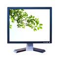 Green leaf in lcd monitor isolated Royalty Free Stock Photo