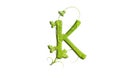 Green leaf letter K, garden eco friendly alphabet