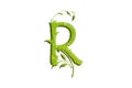 Green leaf letter R, garden eco friendly alphabet