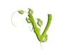 Green leaf letter V, garden eco friendly alphabet