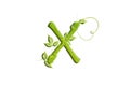 Green leaf letter X, garden eco friendly alphabet