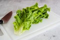 Green leaf lettuce close-up on white cutting board. Crisp fresh organic leaves close-up on the kitchen table Royalty Free Stock Photo