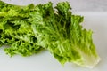 Green leaf lettuce close-up on white cutting board. Crisp fresh organic leaves close-up on the kitchen table Royalty Free Stock Photo