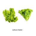 Green Leaf Lettuce on white background. Royalty Free Stock Photo