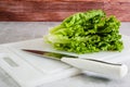 Green leaf lettuce on white cutting board close-up on the kitchen table Royalty Free Stock Photo