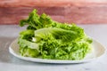 Green leaf lettuce on white plate close-up Royalty Free Stock Photo