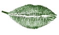 Green leaf with lipstick track form on white Royalty Free Stock Photo