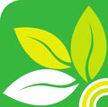 Green leaf logo Royalty Free Stock Photo