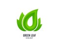 Green leaf logo. Bio products vector icon. Natural food logo. Royalty Free Stock Photo