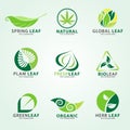 Green leaf logo for business vector set design Royalty Free Stock Photo
