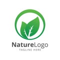 Green leaf logo design