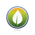 Green leaf logo with gradient circle and blue border on white background Royalty Free Stock Photo